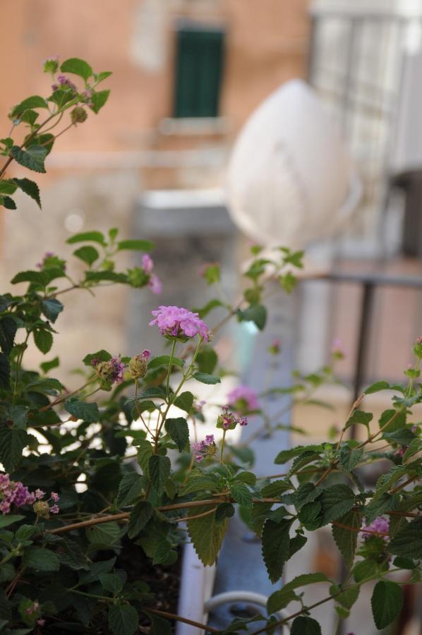 B&B Vin E Va Bari Bagian luar foto